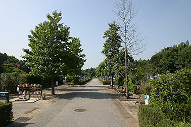 松戸市営白井聖地公園7