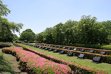 千葉市営平和公園2