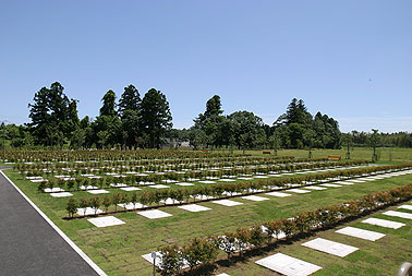 千葉市営平和公園4