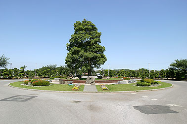 船橋市営馬込霊園