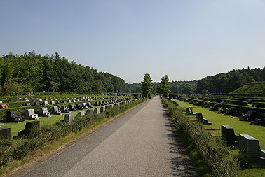 松戸市営白井聖地公園5