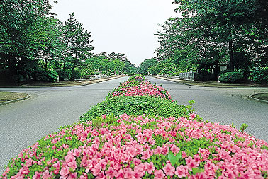 都立八柱霊園