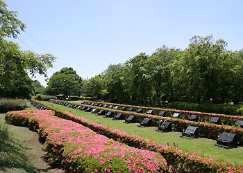 千葉市営平和公園