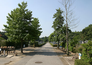 松戸市営白井聖地公園